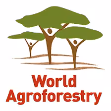 Logo ICRAF